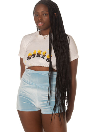 RTS PRINCESS VELVET PIROUETTE SHORTIES